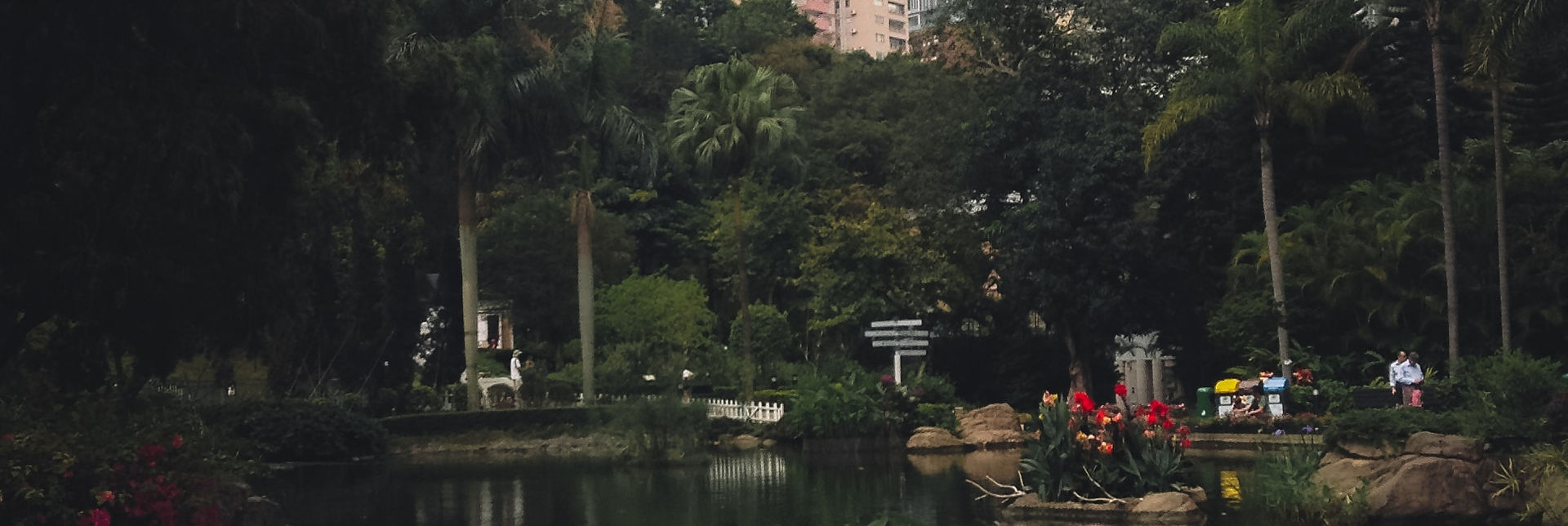 green trees near body of water during daytime_edited.jpg